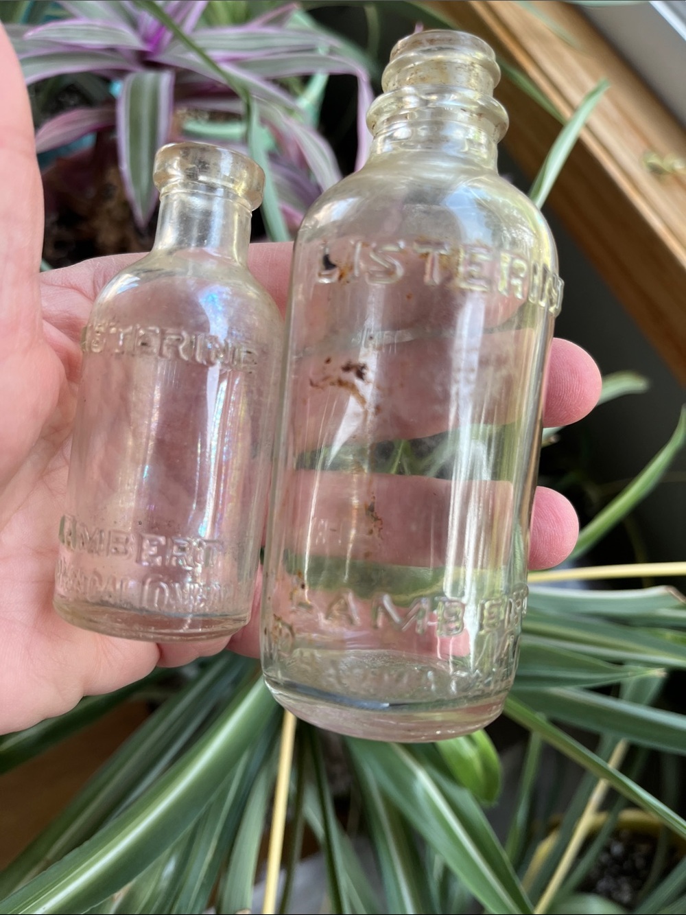 Antique Listerine LAMBERT Pharmacal Company Embossed Glass Bottles 4.25” 3.25”